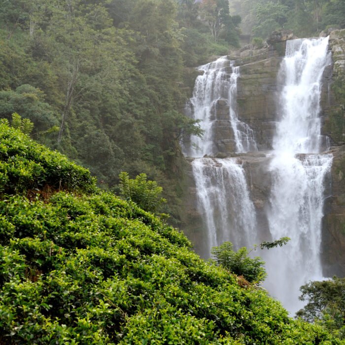 Beautiful waterfall in Sri Lanka