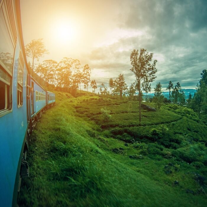 srilanka-2792097_1280 (2)